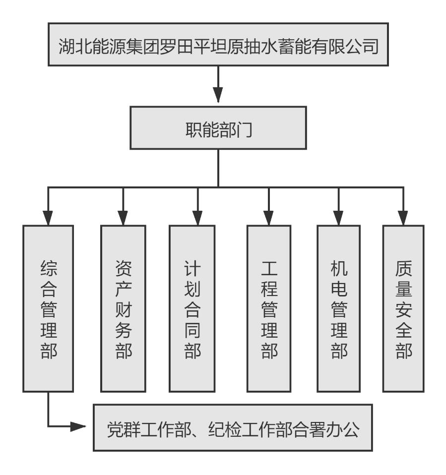 湖北能源集團羅田平坦原抽水蓄能有限公司組織機構(gòu)